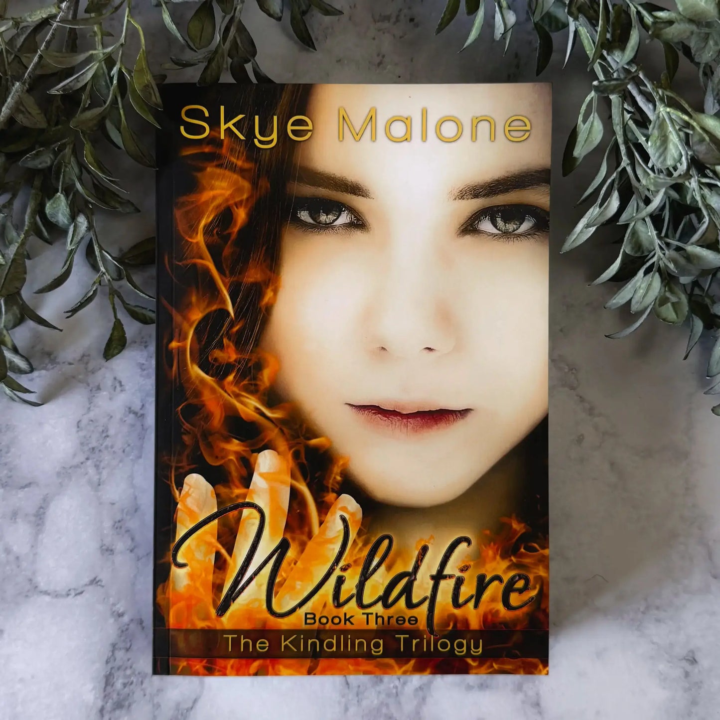 Wildfire (Kindling Trilogy #3) - Paperback Edition